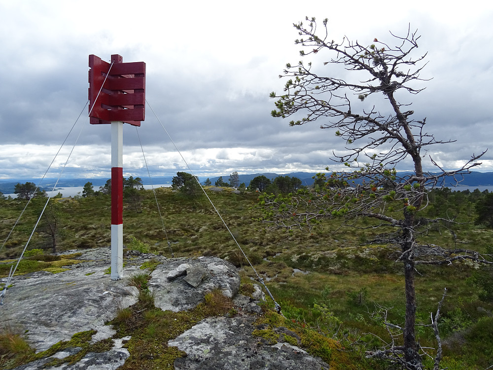 Topptrigpunktet på Vålheia. Dette er nest høyeste punkt (320,275 moh)