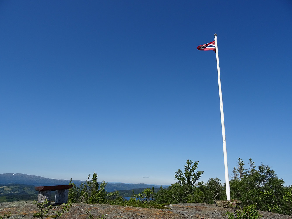Flaggstang med vimpel på toppen av Søbergshøgda