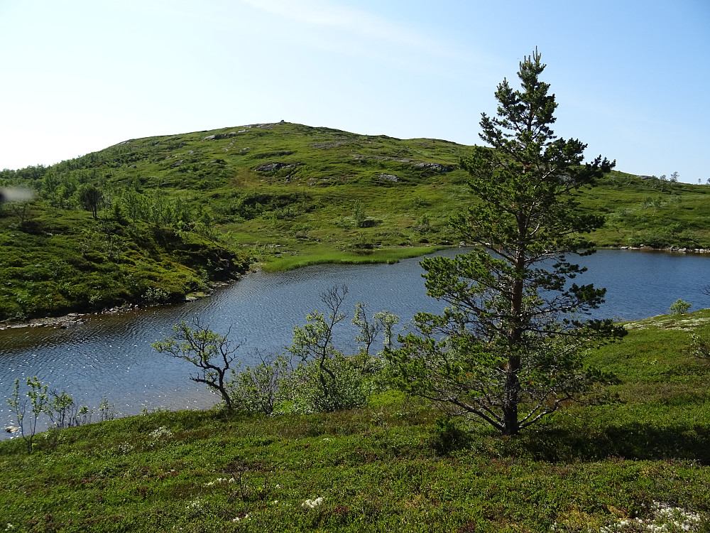 Toppen av Storhøgda sett fra Søtfjellet. Damtjønna ligger mellom de to toppene