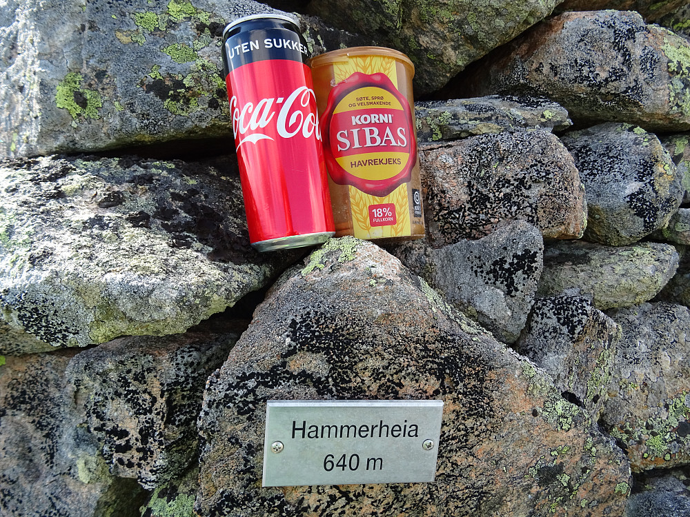 Gastronomisk utskeielse på toppen av Hammerheia. (feil høyde på skiltet)
