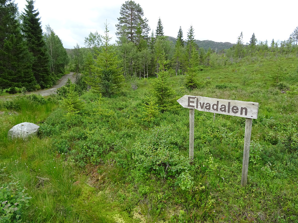 Syklet inn i Elvadalen