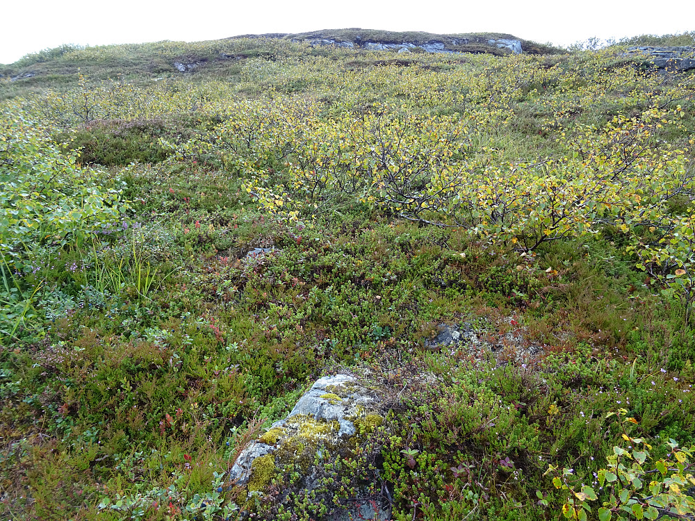 Utsikt fra Namsos kommunes vestligste punkt mot vest