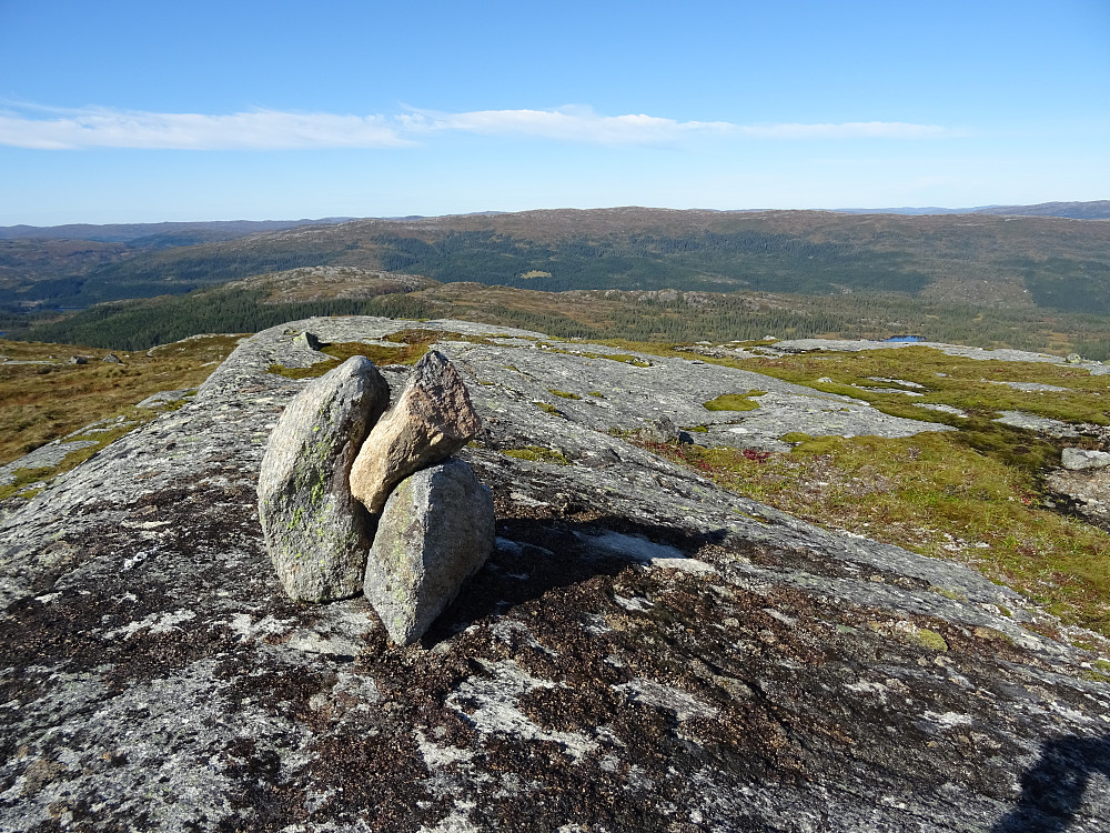 Høyeste punkt på Follahøgda (650 moh)
