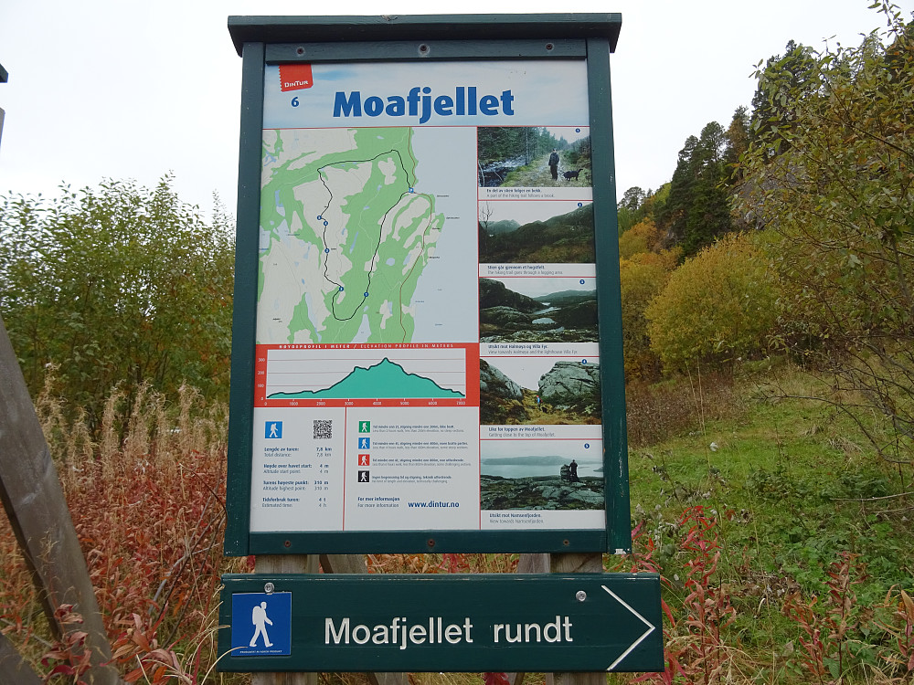 God info over Moafjellet og Prekestolen ved parkeringa