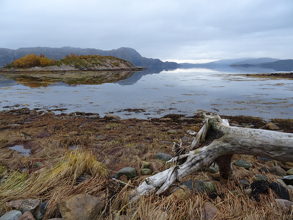 Kariholmen og Otterøya