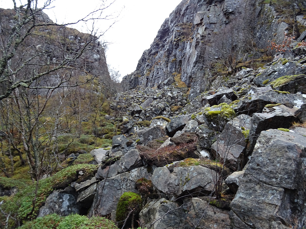 Skikkelig steinur på tur opp mot Hårstadfjellet