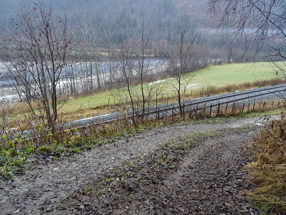 Traktorveien fra Talsneshåggån til Kjellan går langs Rørosbanen og Gaula
