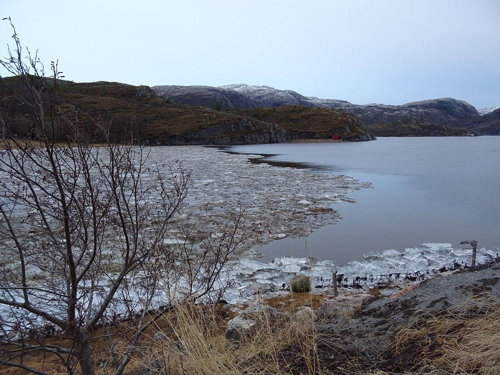 Nordfjorden i Osen med is i oppløsning