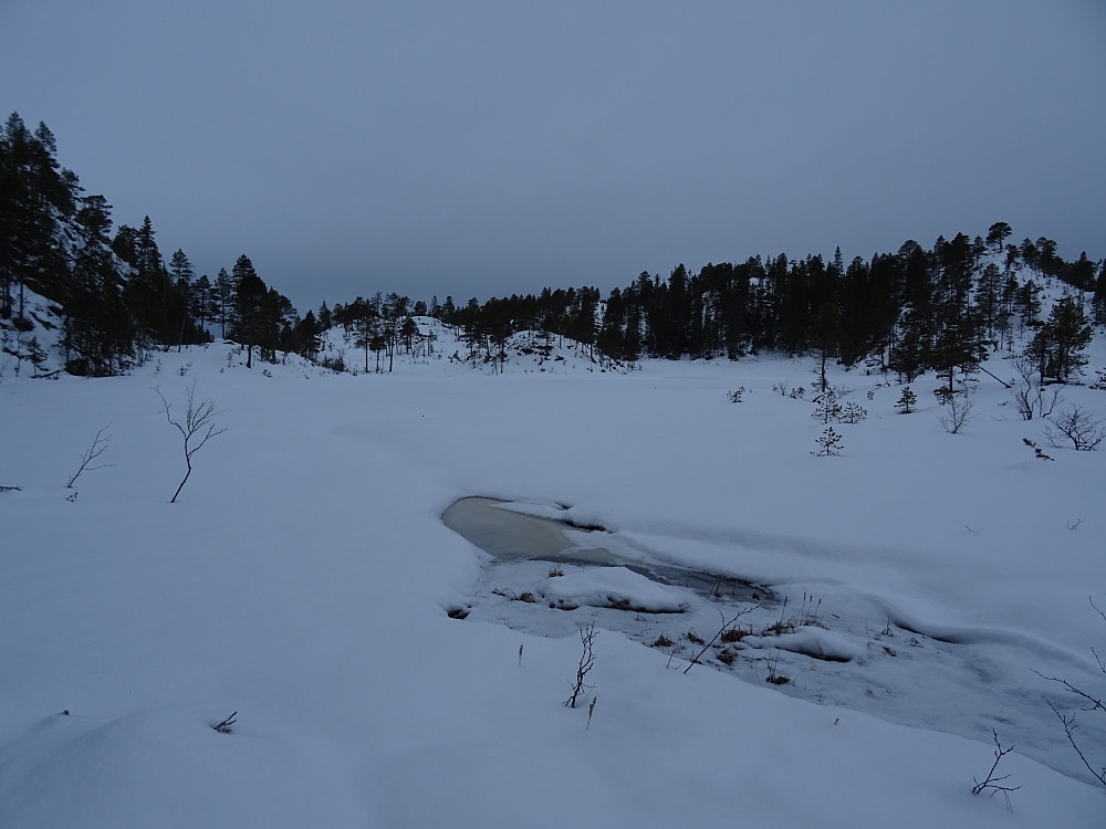 Lomtjønna