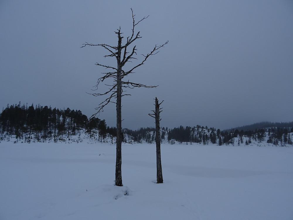 Disse tørrgaddene ligger på ei minihalvøy/tange i Singsvatnet