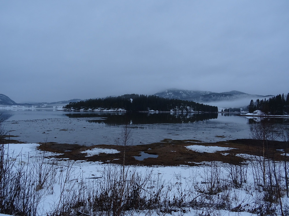 Fin utsikt mot Flakkøya i Fjalbotnet fra parkeringa.