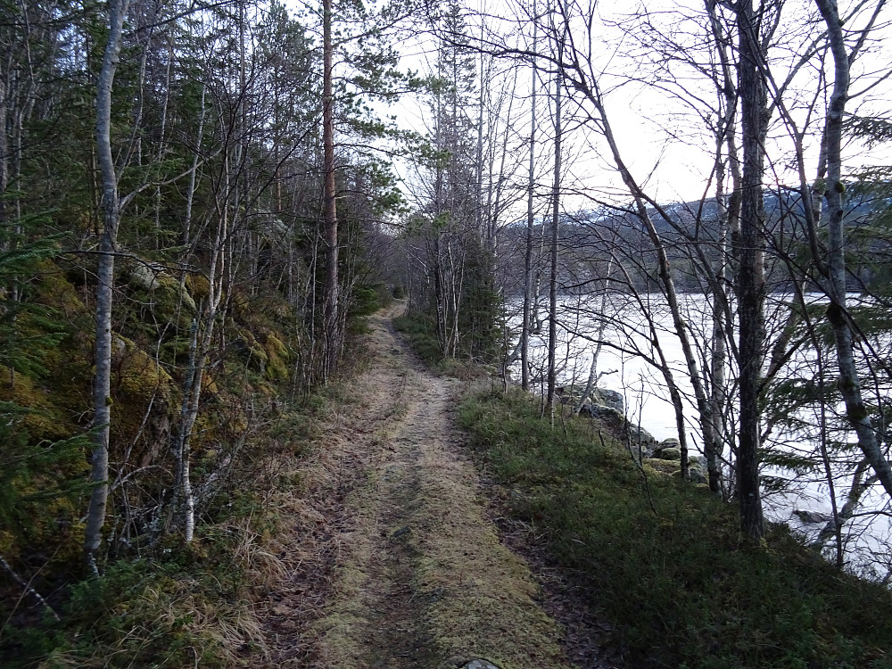 Fin gammel ferdselsvei på nordsiden av Bjøllivatnet