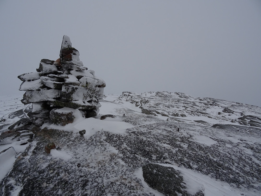 Trigpunktet og varden på Føynemsfjellet (459, 39 moh)