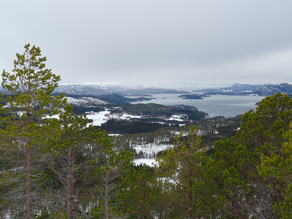 Utsikt fra Morrahaugen mot Namsenfjorden