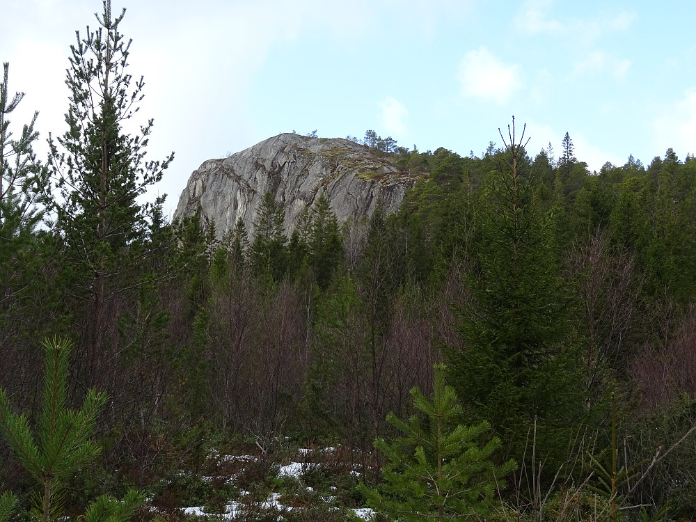 Den bratte fortoppen til Pallan på 129 moh, 16 meter lavere enn hovedtoppen. 