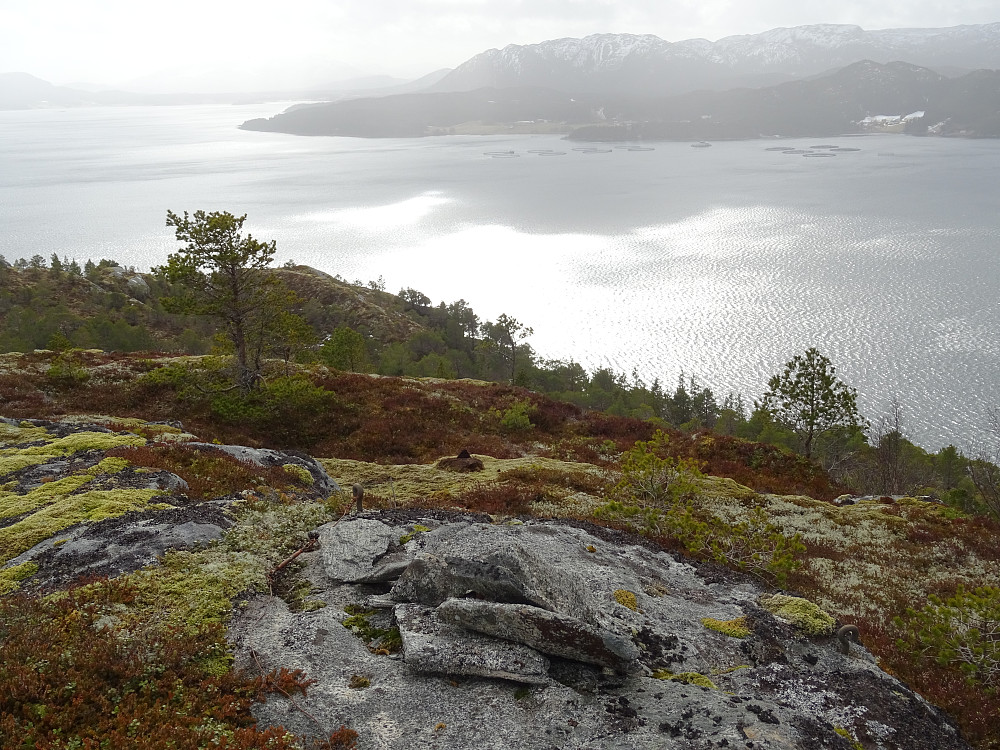 Trigpunktbolten og noen steiner på toppen av Pallan