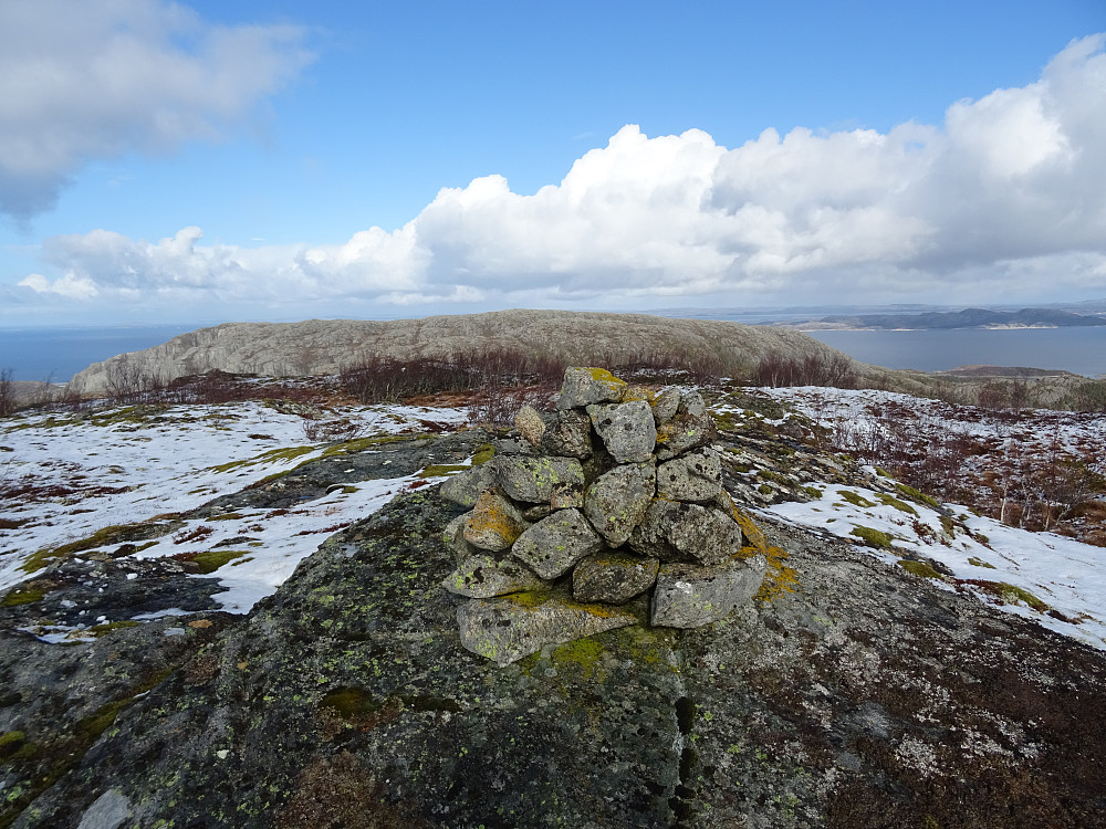Toppvarden (261 moh) på Dunafjellet med Skåkkjerringa bak