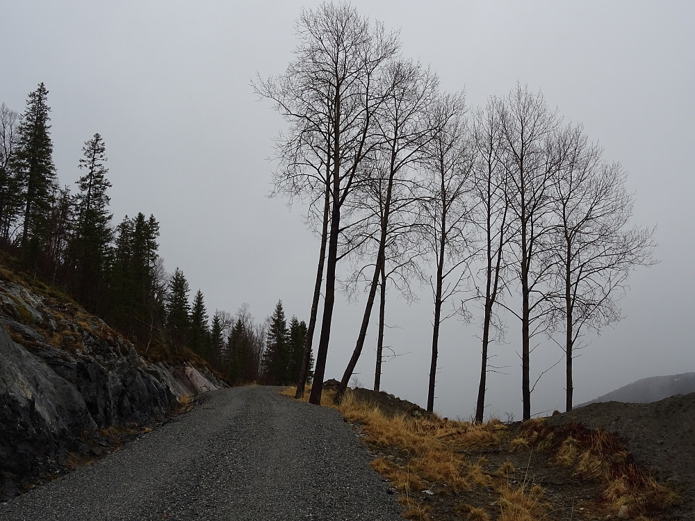 Veien mot Dølin