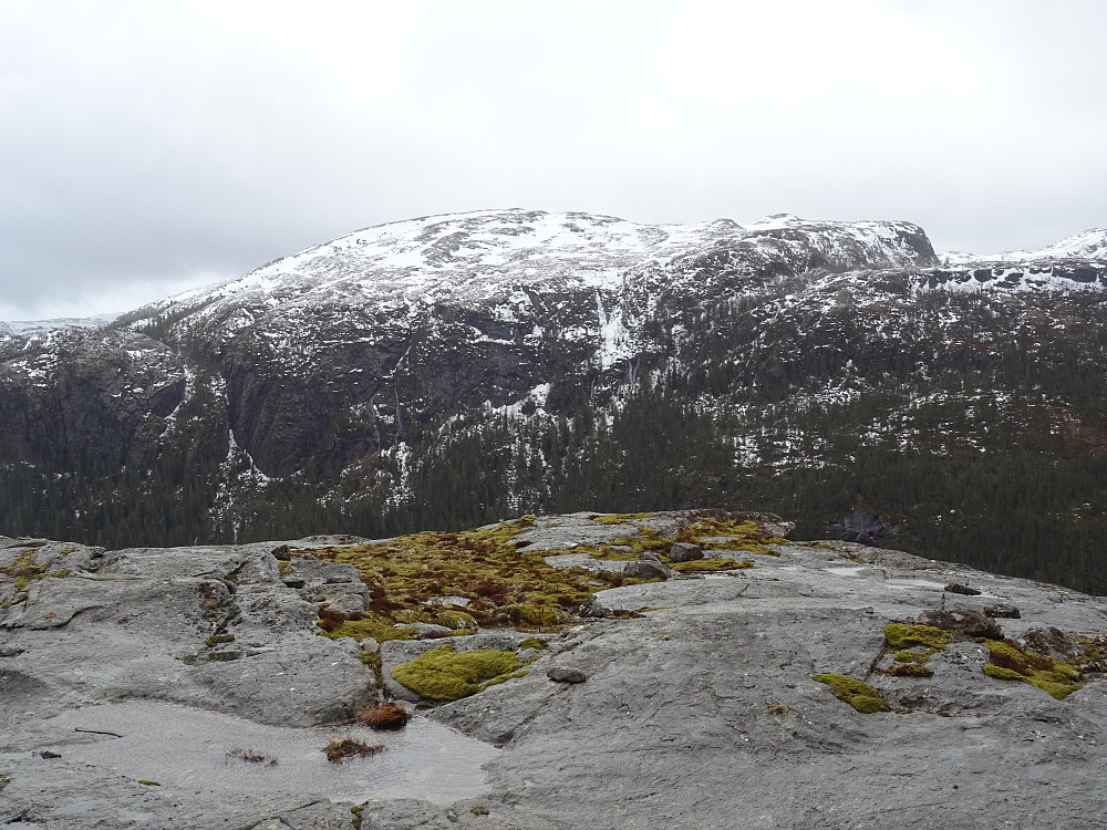 Utsikt fra Leirvikfjellet mot Osheia