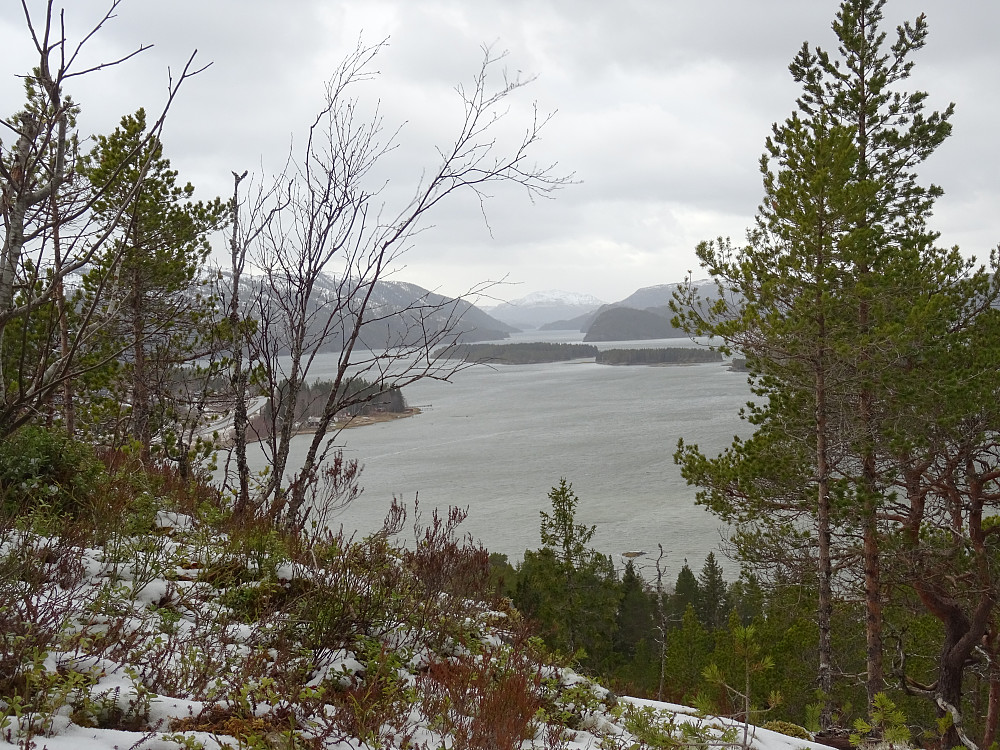 Fra denne skyttergraven var det god utsikt mot Namsenfjorden