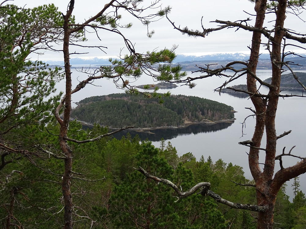 Saltøya ved Langstein
