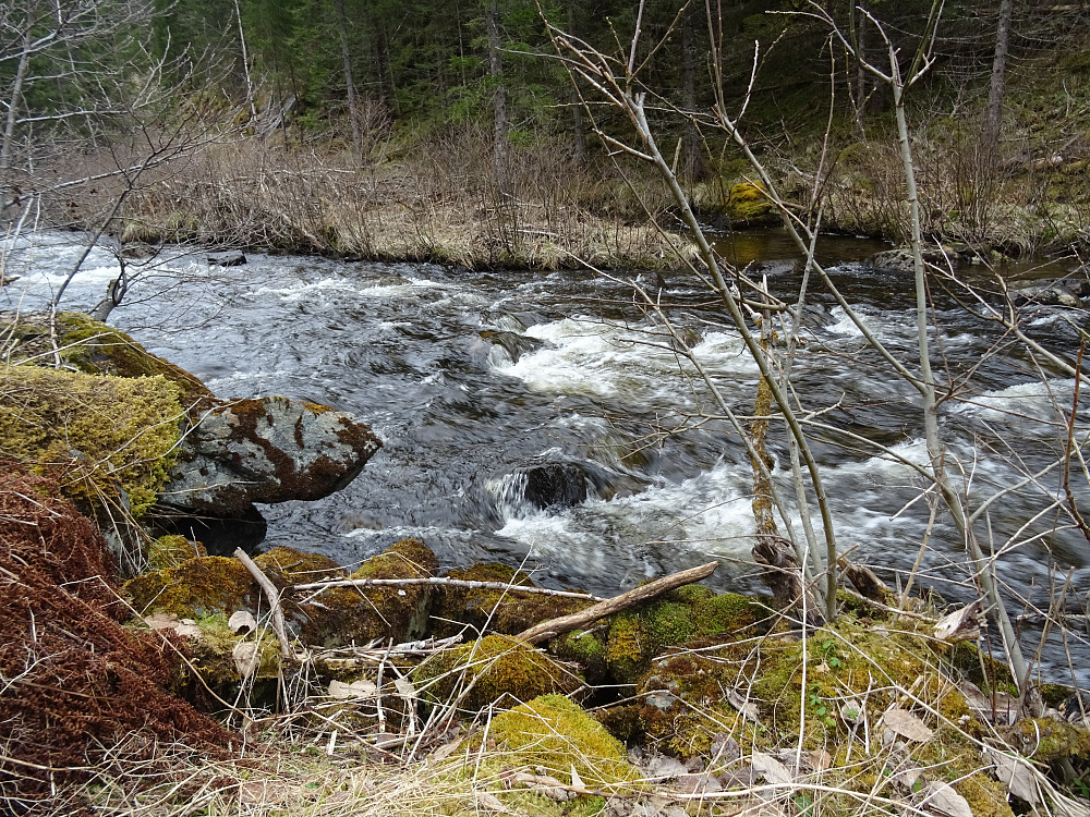 Parkerte like ved Langsteinelva