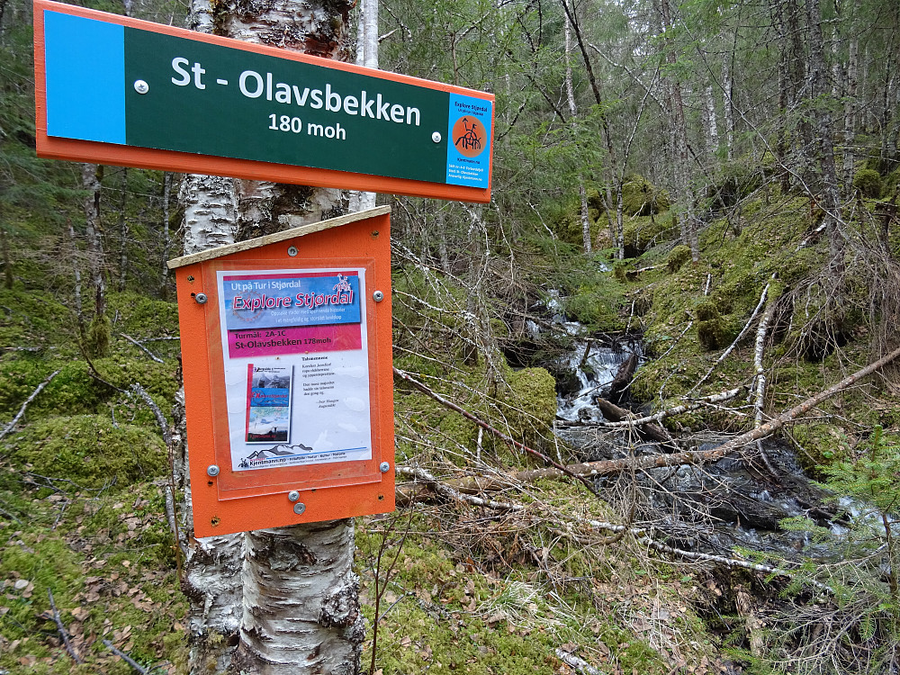 Det er mange St.Olavs bekker og kilder i Trøndelag