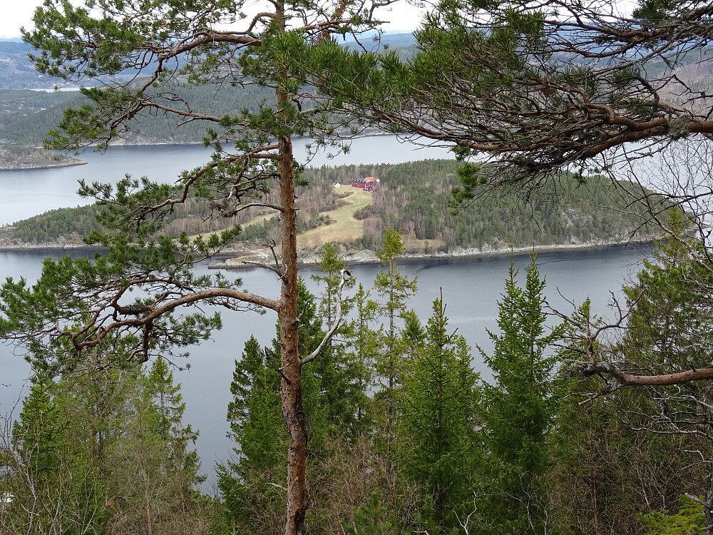 Utsikt mot Saltøya