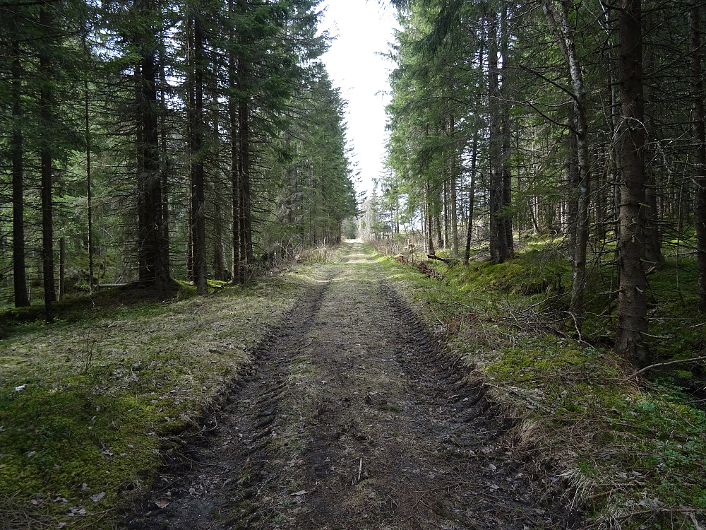 Gammel ferdselsvei mot Strukafossen
