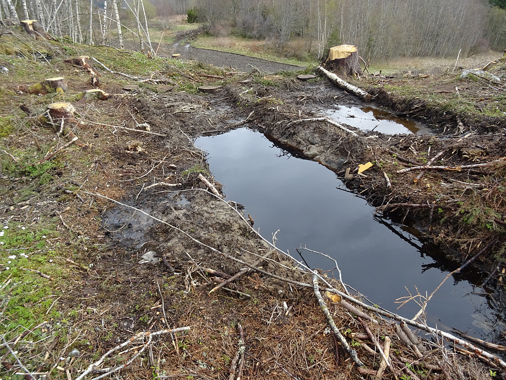 Hogstfelt på Bolkåsen