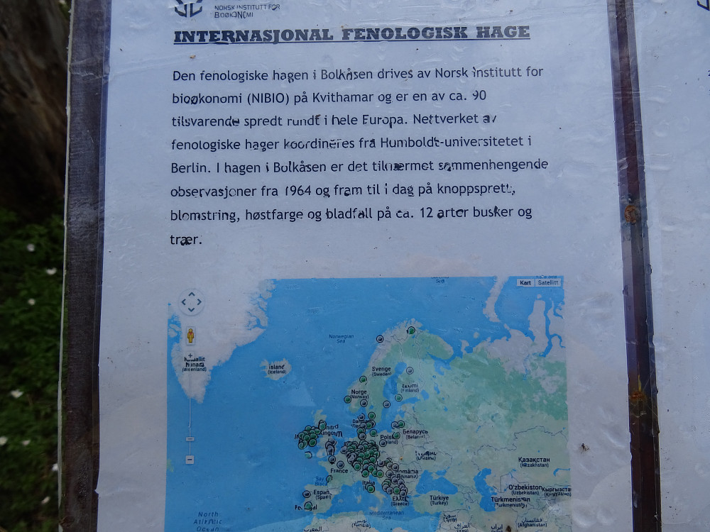 Infoplakat i den fenologiske hagen