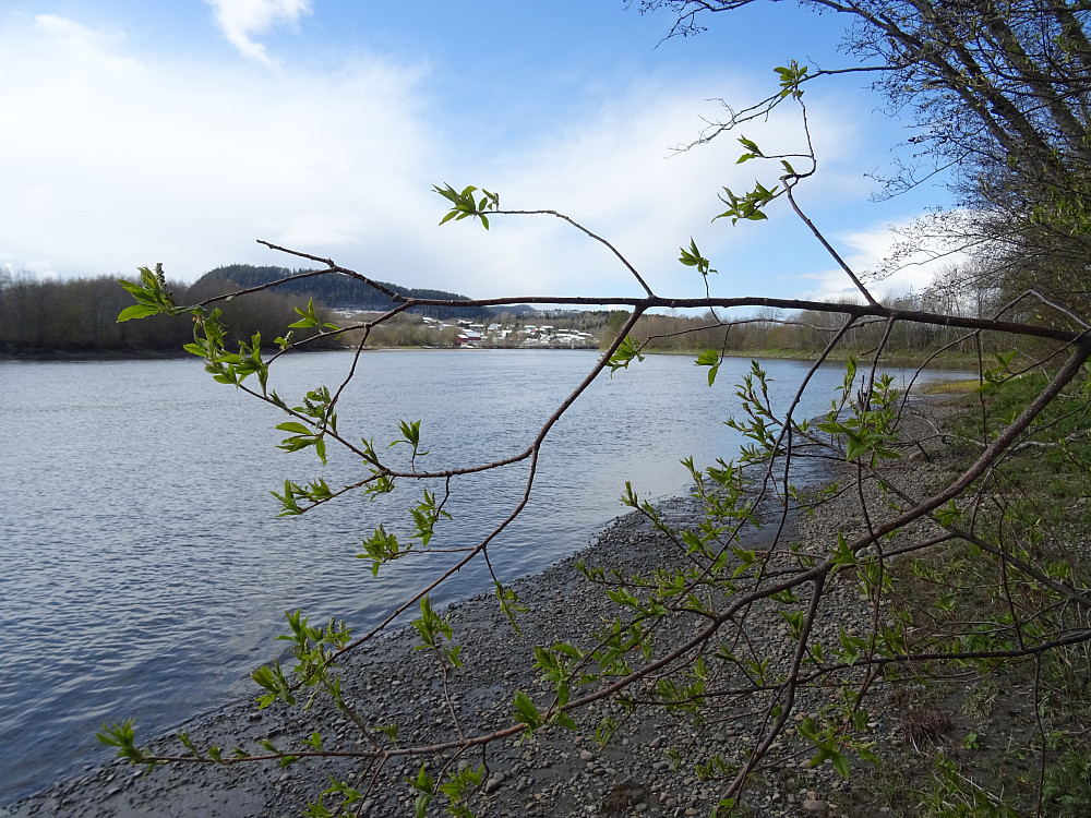 Kastøra ved Stjørdalselva
