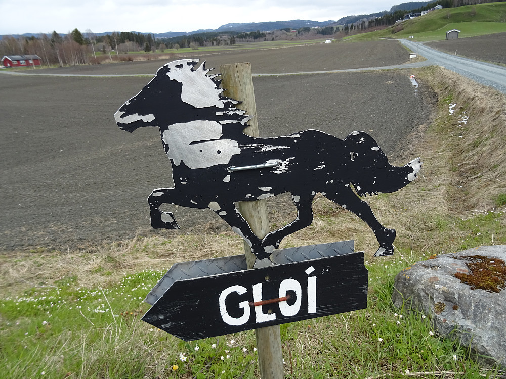 Parkerte ved Gloi Islandshestforening