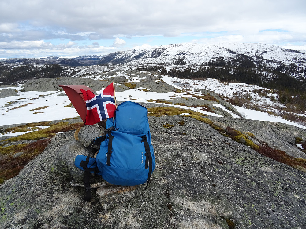 17 mai på risbusta. Besøkende nummer to i dag. Lite snø på toppen i forhold til dalstroka under. 