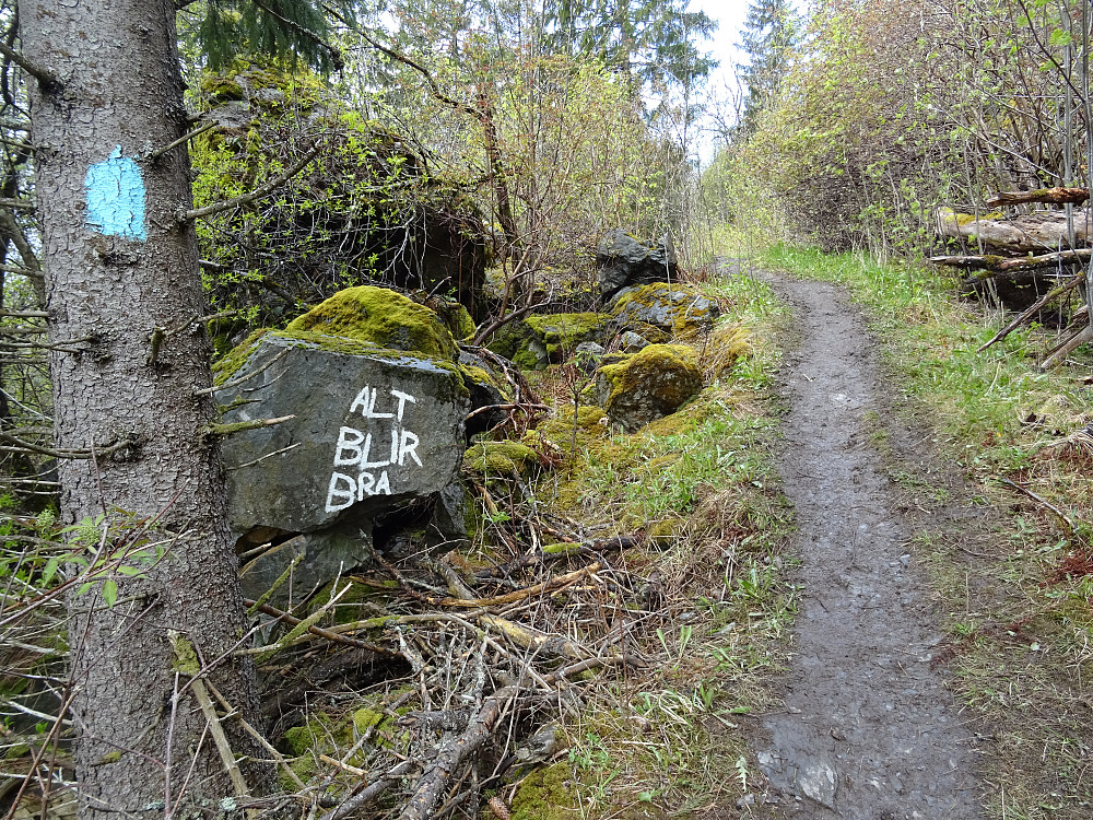 Stien mot Skardshåmmåren fra Velvang