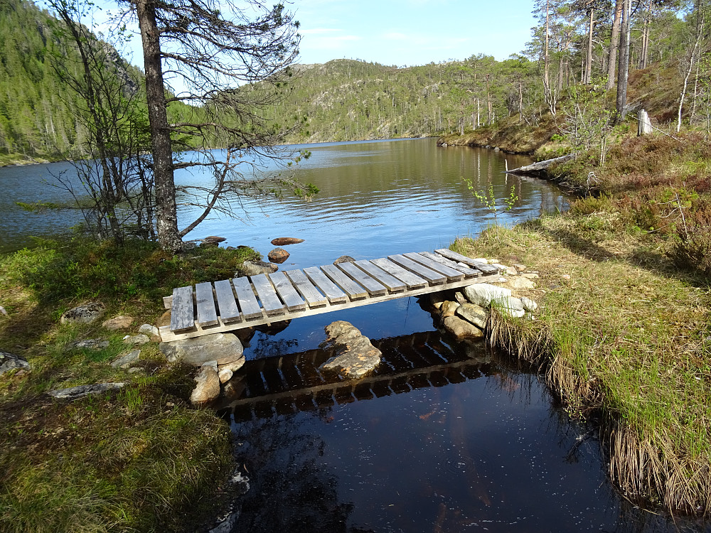 Fiskeplassen ved Svarttjønna