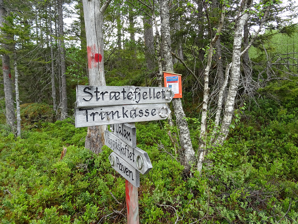 Veiviser til en mengde fine stier i Sorta