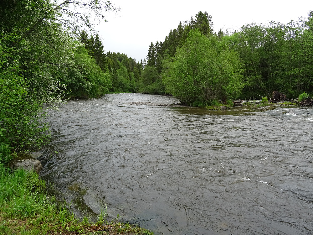 Elva Figgja ved gapahuken