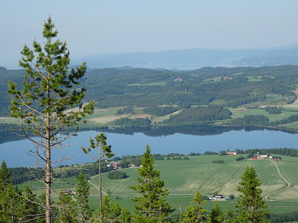 Utsikt fra Svartberget mot Leksdalsvatnet