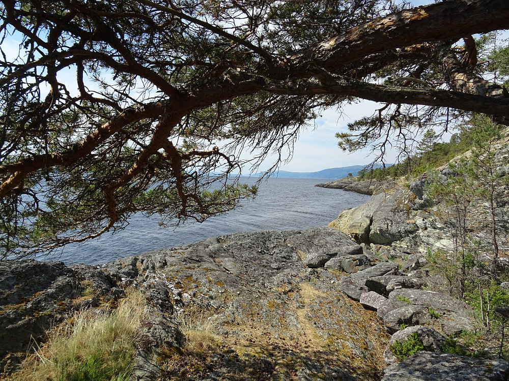 Utsikt fra posten på Hoøya