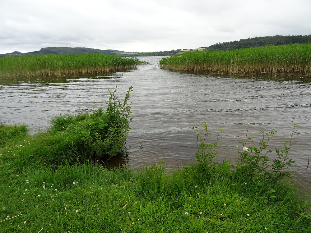 Parkerte ved vannet Lømsen