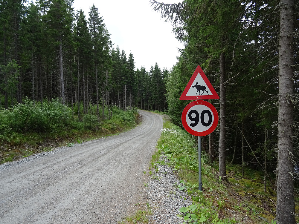 Bra fart på lokalveiene i området