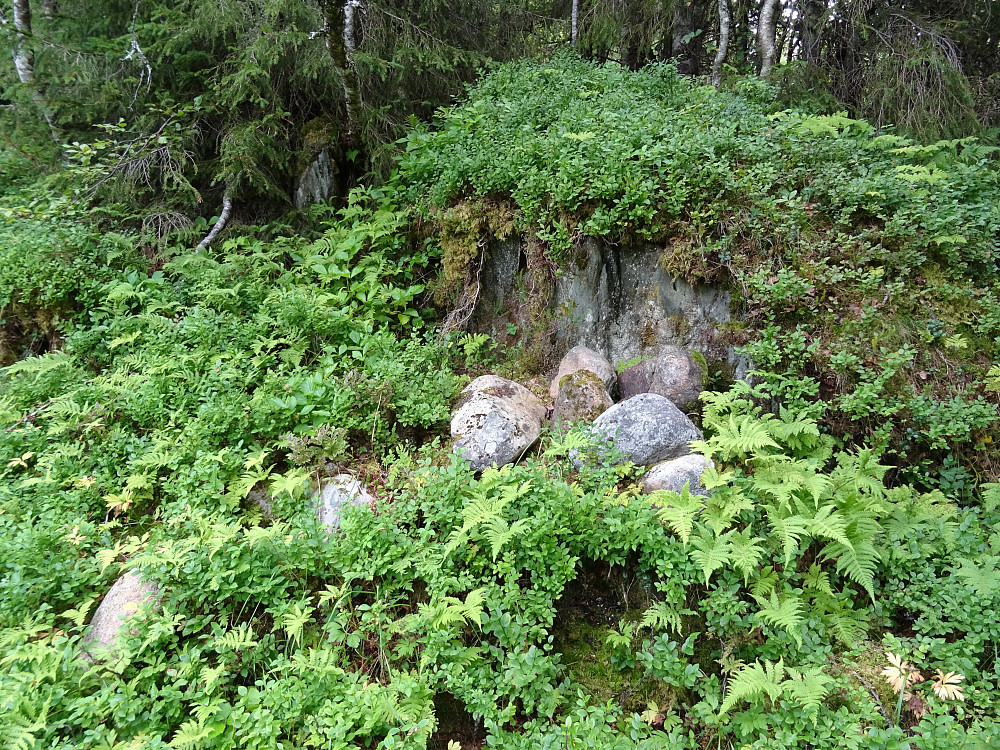 Disse steinene er Stjørdal Kommune`s sørligste PUNKT