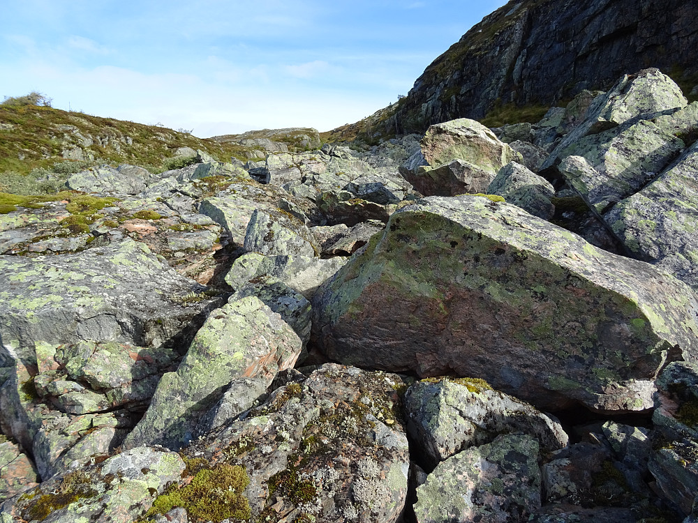 Litt steinur mot toppen av Storsnøheia