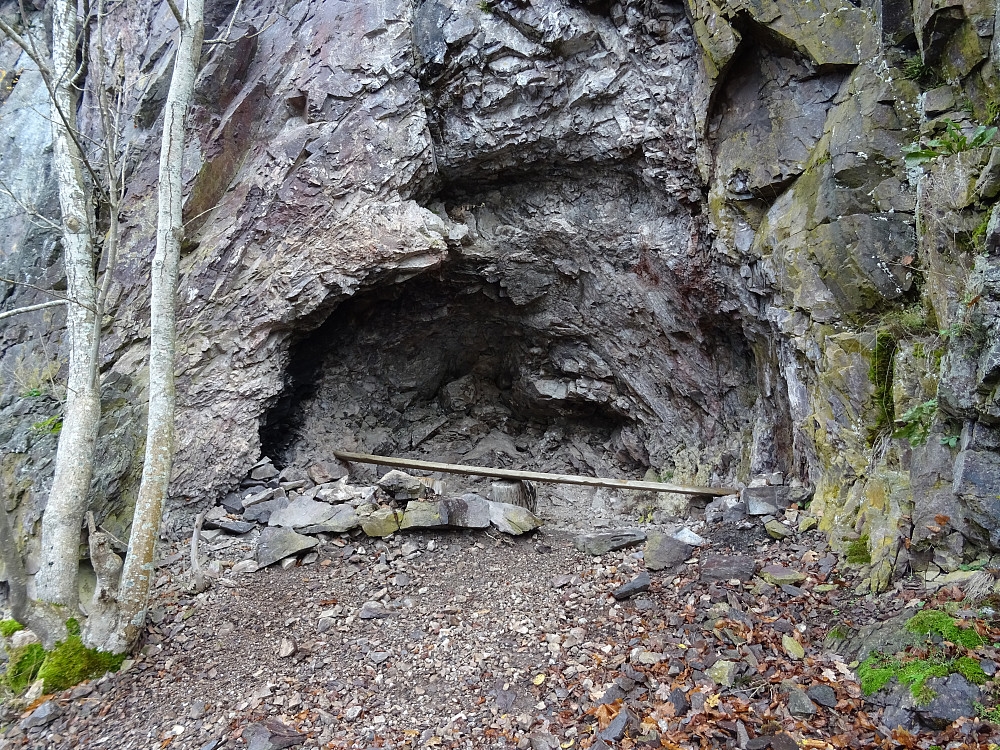 Borrevannshula