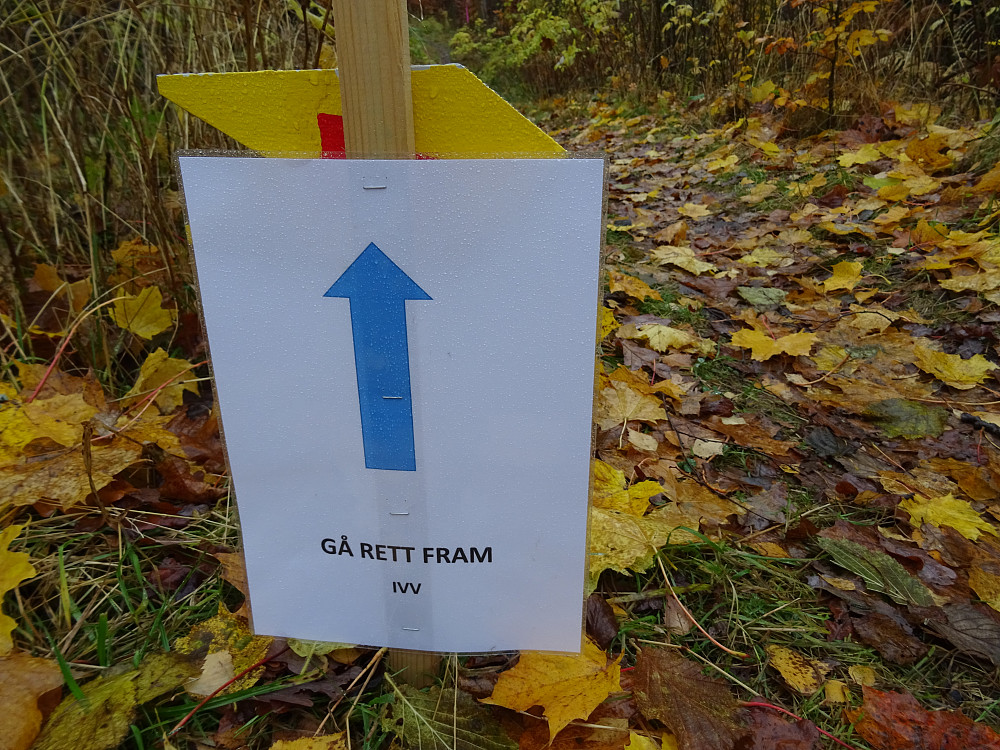 Jeg kunne ønsket meg flere slike informative skilt ved vannkanten i Borrevannet