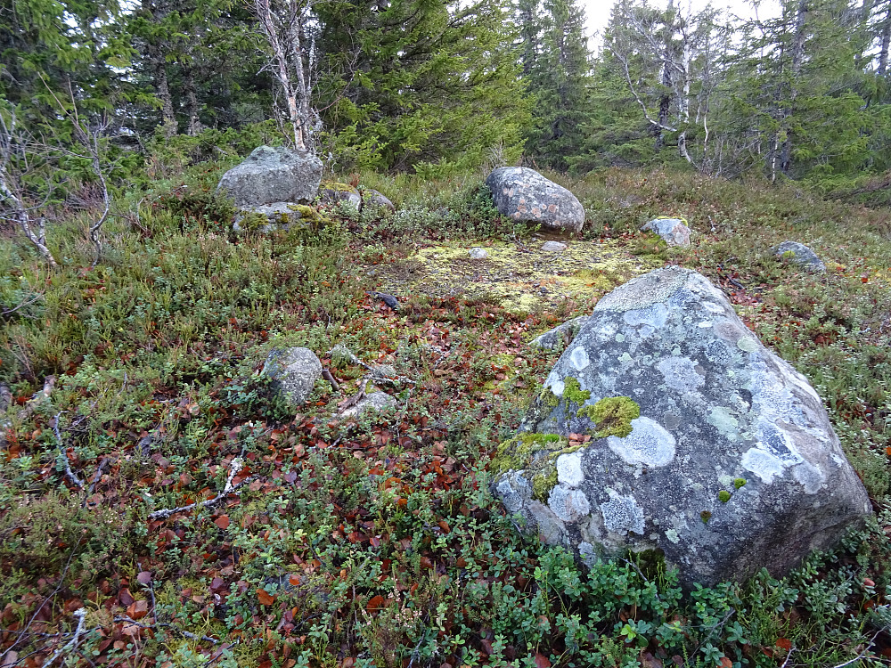 Toppen av Solliåsen har en del stein.