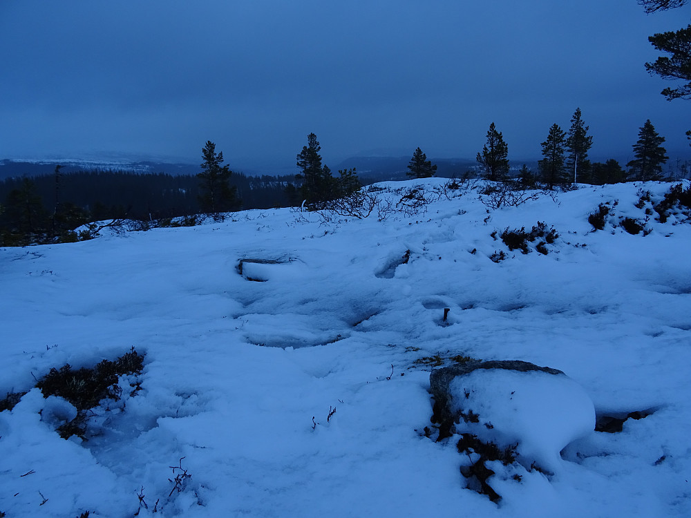 Trigpunktbolten synlig i snøen på Gjevingåsen