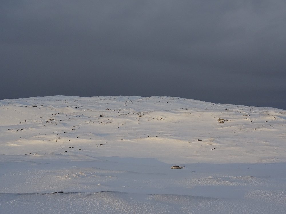 Fine skiforhold på Kvernvassfjellet