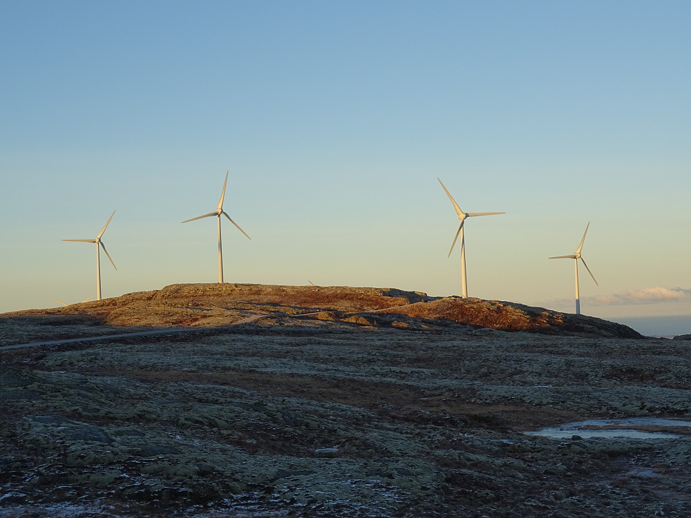 Vindmøller 